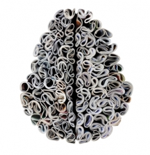 Brainwaves